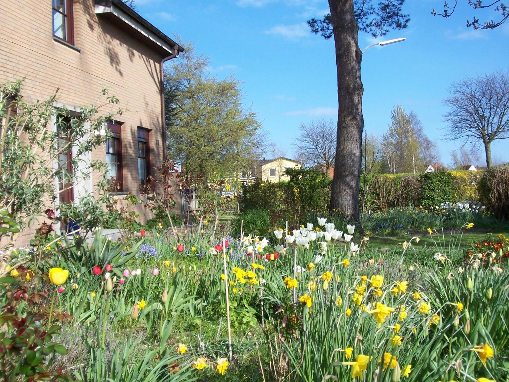 Villa Kronsteert Dahme  Exterior photo